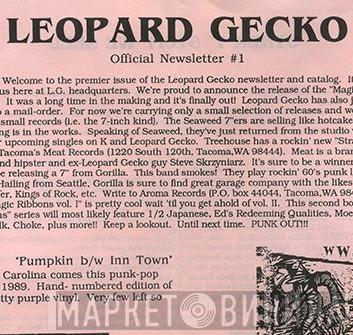 Leopard Gecko - Винил CD и Кассеты лейбла Leopard Gecko на сайте МаркетВинила