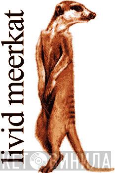 Livid Meerkat - Винил CD и Кассеты лейбла Livid Meerkat на сайте МаркетВинила