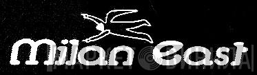 Milan East - Винил CD и Кассеты лейбла Milan East на сайте МаркетВинила