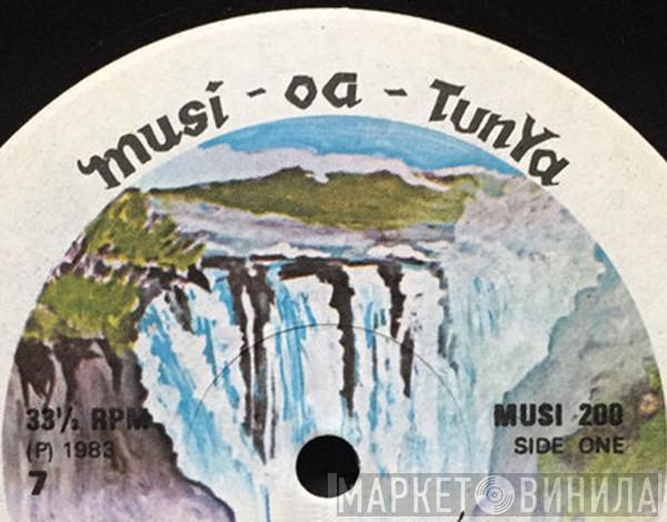 Musi-Oa-Tunya - Винил CD и Кассеты лейбла Musi-Oa-Tunya на сайте МаркетВинила