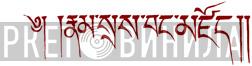 Namse Bangdzo - Винил CD и Кассеты лейбла Namse Bangdzo на сайте МаркетВинила
