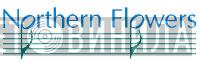 Northern Flowers - Винил CD и Кассеты лейбла Northern Flowers на сайте МаркетВинила