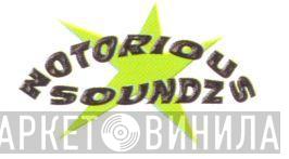 Notorious Soundz - Винил CD и Кассеты лейбла Notorious Soundz на сайте МаркетВинила