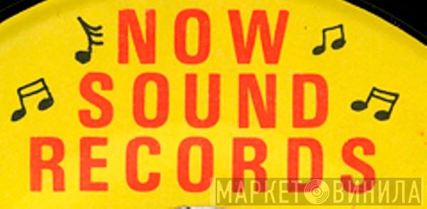 Now Sound Records - Винил CD и Кассеты лейбла Now Sound Records на сайте МаркетВинила