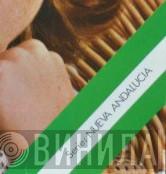 Nueva Andalucía - Винил CD и Кассеты лейбла Nueva Andalucía на сайте МаркетВинила