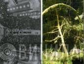 Obeast Tapes - Винил CD и Кассеты лейбла Obeast Tapes на сайте МаркетВинила