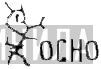 Ocho - Винил CD и Кассеты лейбла Ocho на сайте МаркетВинила