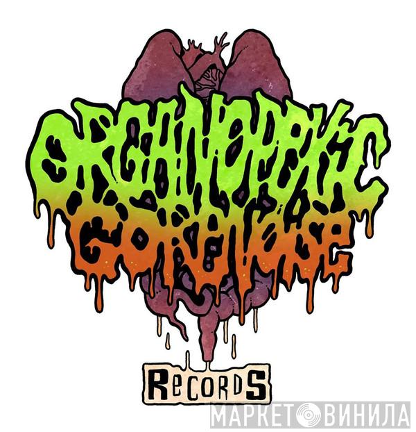 Organopexic Gorenoise - Винил CD и Кассеты лейбла Organopexic Gorenoise на сайте МаркетВинила