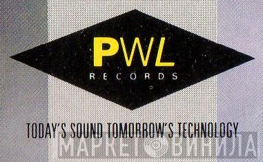 PWL Records - Винил CD и Кассеты лейбла PWL Records на сайте МаркетВинила