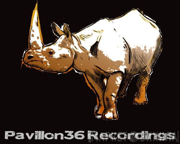 Pavillon36 Recordings - Винил CD и Кассеты лейбла Pavillon36 Recordings на сайте МаркетВинила