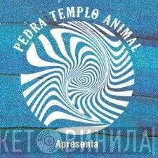 Pedra Templo Animal - Винил CD и Кассеты лейбла Pedra Templo Animal на сайте МаркетВинила