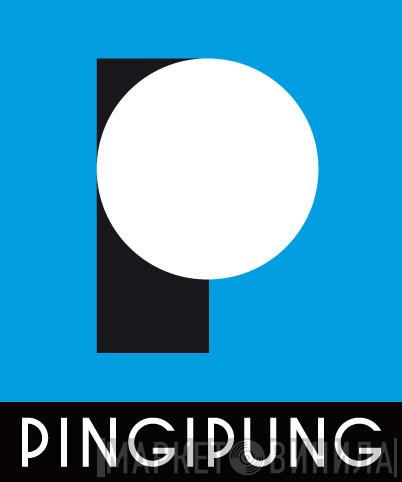 Pingipung - Винил CD и Кассеты лейбла Pingipung на сайте МаркетВинила