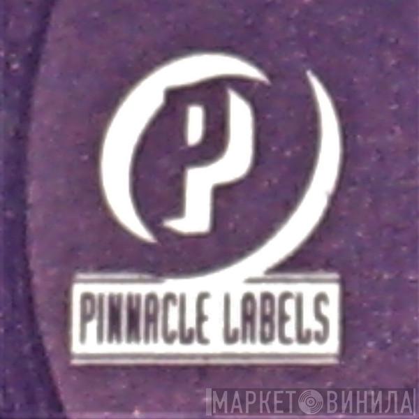 Pinnacle Labels - Винил CD и Кассеты лейбла Pinnacle Labels на сайте МаркетВинила
