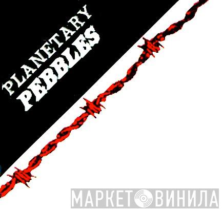 Planetary Pebbles - Винил CD и Кассеты лейбла Planetary Pebbles на сайте МаркетВинила