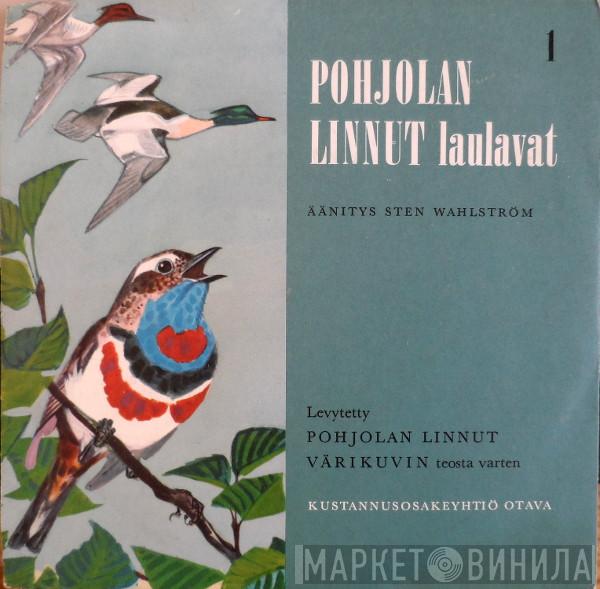 Pohjolan Linnut Laulavat - Винил CD и Кассеты лейбла Pohjolan Linnut Laulavat на сайте МаркетВинила