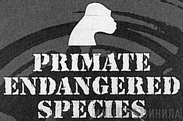 Primate Endangered Species - Винил CD и Кассеты лейбла Primate Endangered Species на сайте МаркетВинила