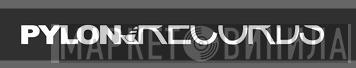 Pylon Records  - Винил CD и Кассеты лейбла Pylon Records (2) на сайте МаркетВинила