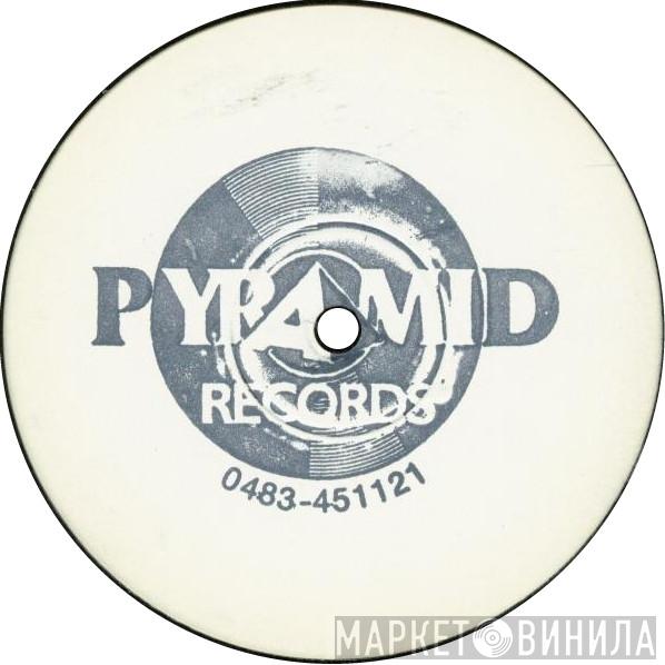 Pyramid Records - Винил CD и Кассеты лейбла Pyramid Records на сайте МаркетВинила