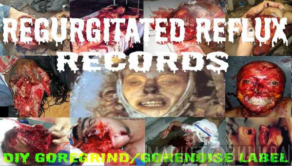 Regurgitated Reflux Records - Винил CD и Кассеты лейбла Regurgitated Reflux Records на сайте МаркетВинила