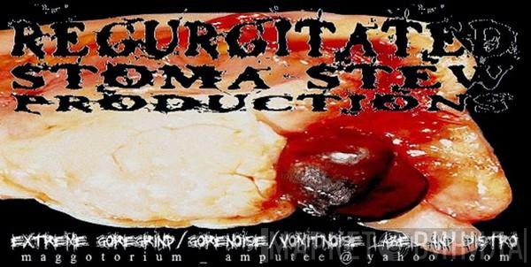 Regurgitated Stoma Stew Productions - Винил CD и Кассеты лейбла Regurgitated Stoma Stew Productions на сайте МаркетВинила