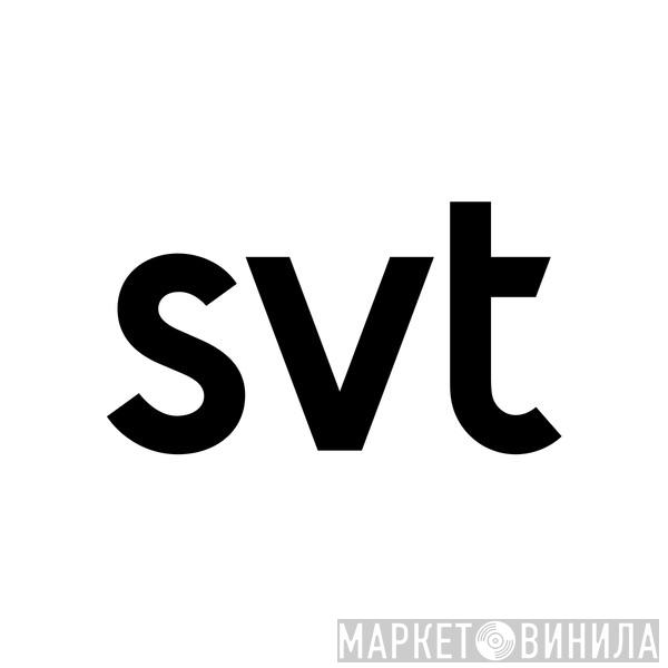 SVT - Винил CD и Кассеты лейбла SVT на сайте МаркетВинила
