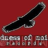 Sadness Of Noise - Винил CD и Кассеты лейбла Sadness Of Noise на сайте МаркетВинила