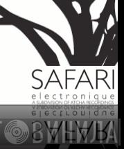 Safari Electronique - Винил CD и Кассеты лейбла Safari Electronique на сайте МаркетВинила