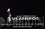 Serie's Bucaneros - Винил CD и Кассеты лейбла Serie's Bucaneros на сайте МаркетВинила