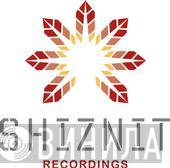 Shiznit Recordings - Винил CD и Кассеты лейбла Shiznit Recordings на сайте МаркетВинила