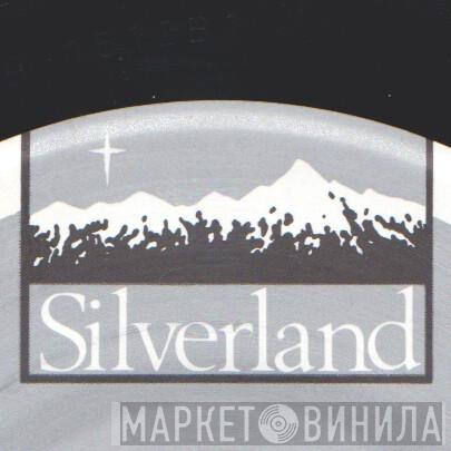Silverland - Винил CD и Кассеты лейбла Silverland на сайте МаркетВинила
