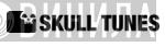 Skull Tunes - Винил CD и Кассеты лейбла Skull Tunes на сайте МаркетВинила