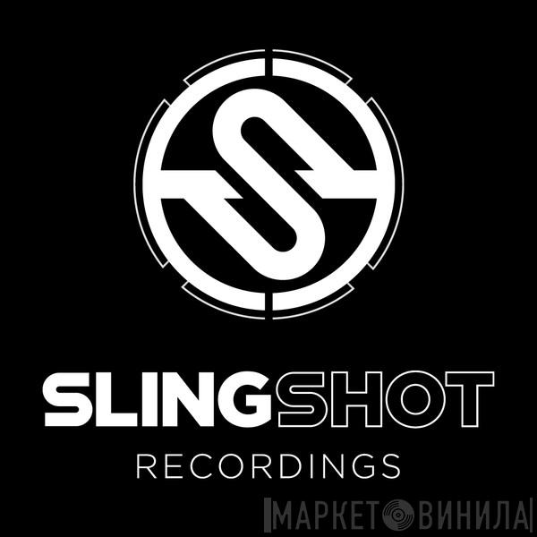 Slingshot Recordings  - Винил CD и Кассеты лейбла Slingshot Recordings (2) на сайте МаркетВинила
