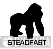 Steadfast - Винил CD и Кассеты лейбла Steadfast на сайте МаркетВинила