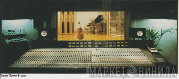 Surrey Sound Studios - Винил CD и Кассеты лейбла Surrey Sound Studios на сайте МаркетВинила