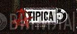 Típica Records - Винил CD и Кассеты лейбла Típica Records на сайте МаркетВинила