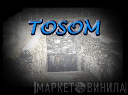 Tosom - Винил CD и Кассеты лейбла Tosom на сайте МаркетВинила