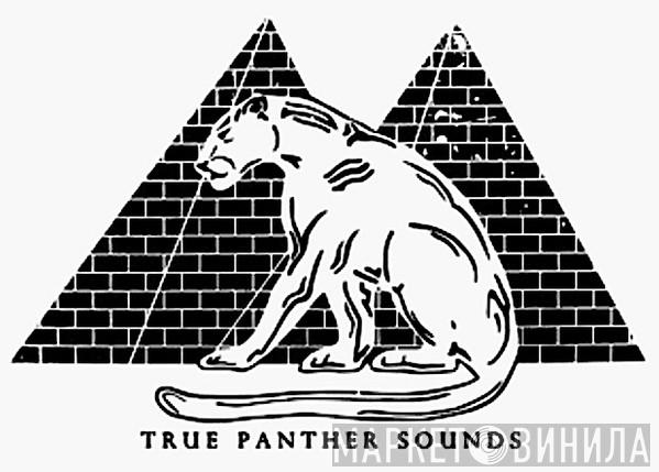 True Panther Sounds - Винил CD и Кассеты лейбла True Panther Sounds на сайте МаркетВинила