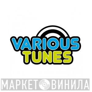 Various Tunes - Винил CD и Кассеты лейбла Various Tunes на сайте МаркетВинила