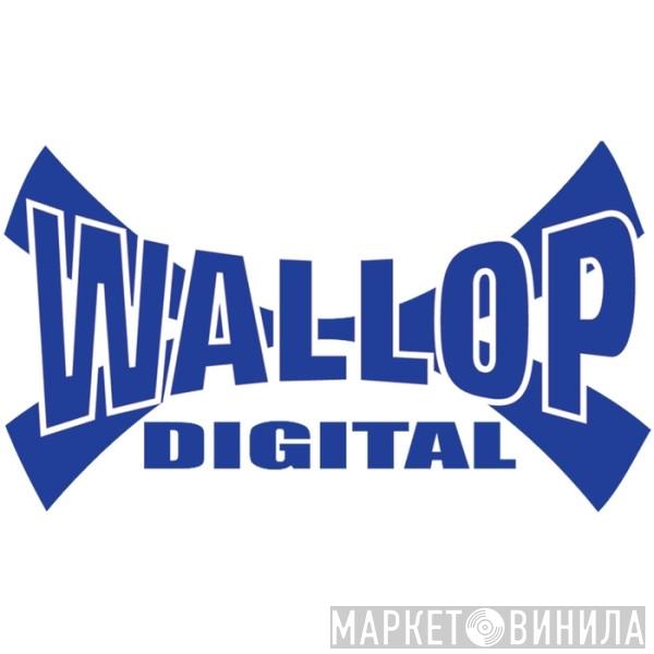 Wallop Digital - Винил CD и Кассеты лейбла Wallop Digital на сайте МаркетВинила