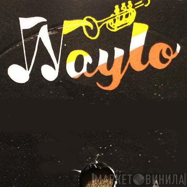 Waylo - Винил CD и Кассеты лейбла Waylo на сайте МаркетВинила