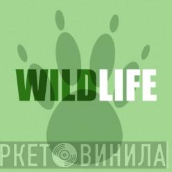 Wildlife - Винил CD и Кассеты лейбла Wildlife на сайте МаркетВинила