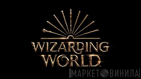 Wizarding World - Винил CD и Кассеты лейбла Wizarding World на сайте МаркетВинила