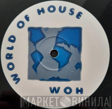 World Of House - Винил CD и Кассеты лейбла World Of House на сайте МаркетВинила
