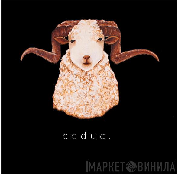 caduc. - Винил CD и Кассеты лейбла caduc. на сайте МаркетВинила