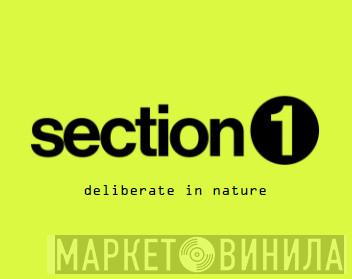 section 1  - Винил CD и Кассеты лейбла section 1 (2) на сайте МаркетВинила